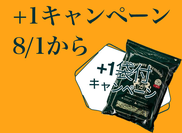 +1キャンペーン