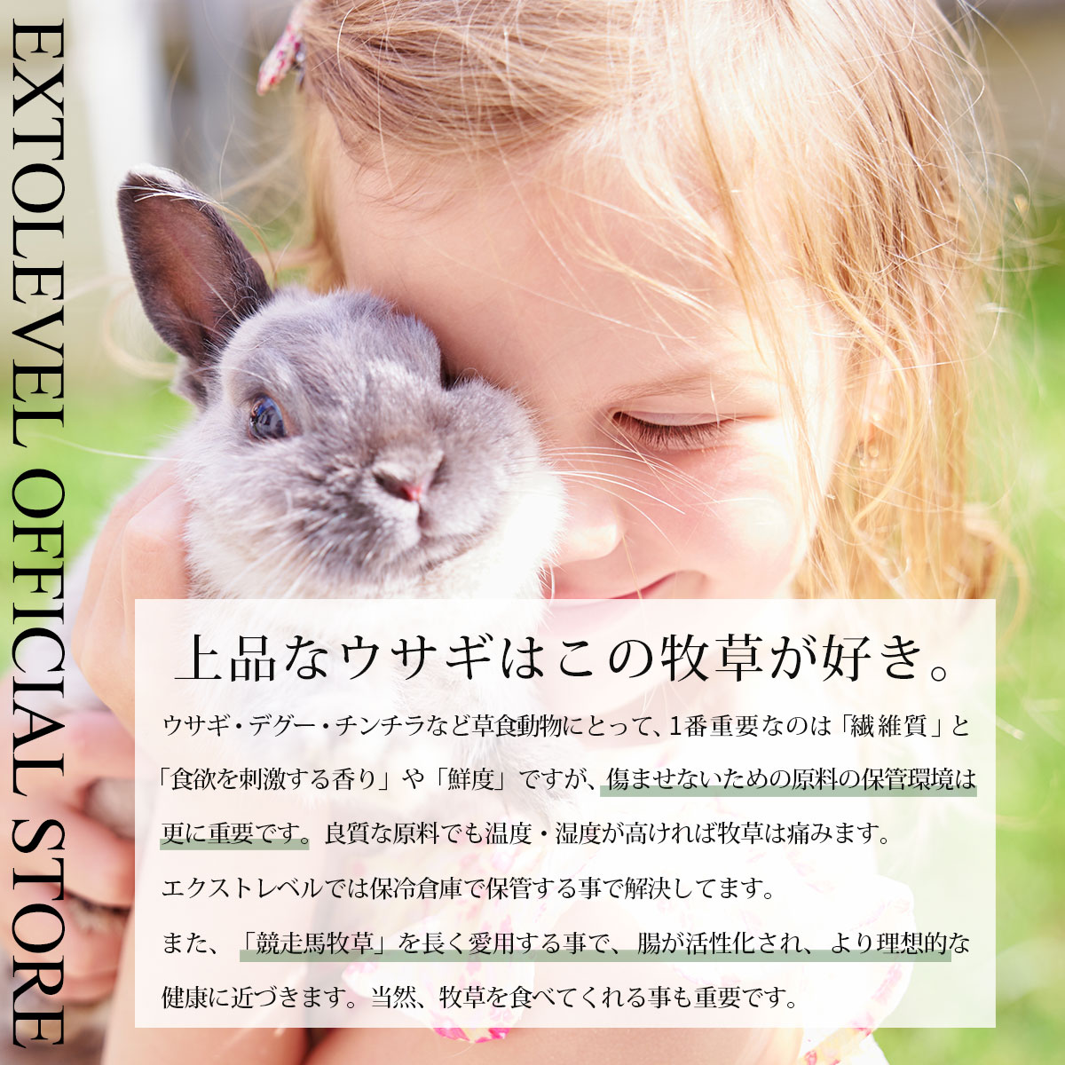 令和7年産] OAT HAY PREMIUM 豪州産最上級プレミアムオーツヘイ 3kg