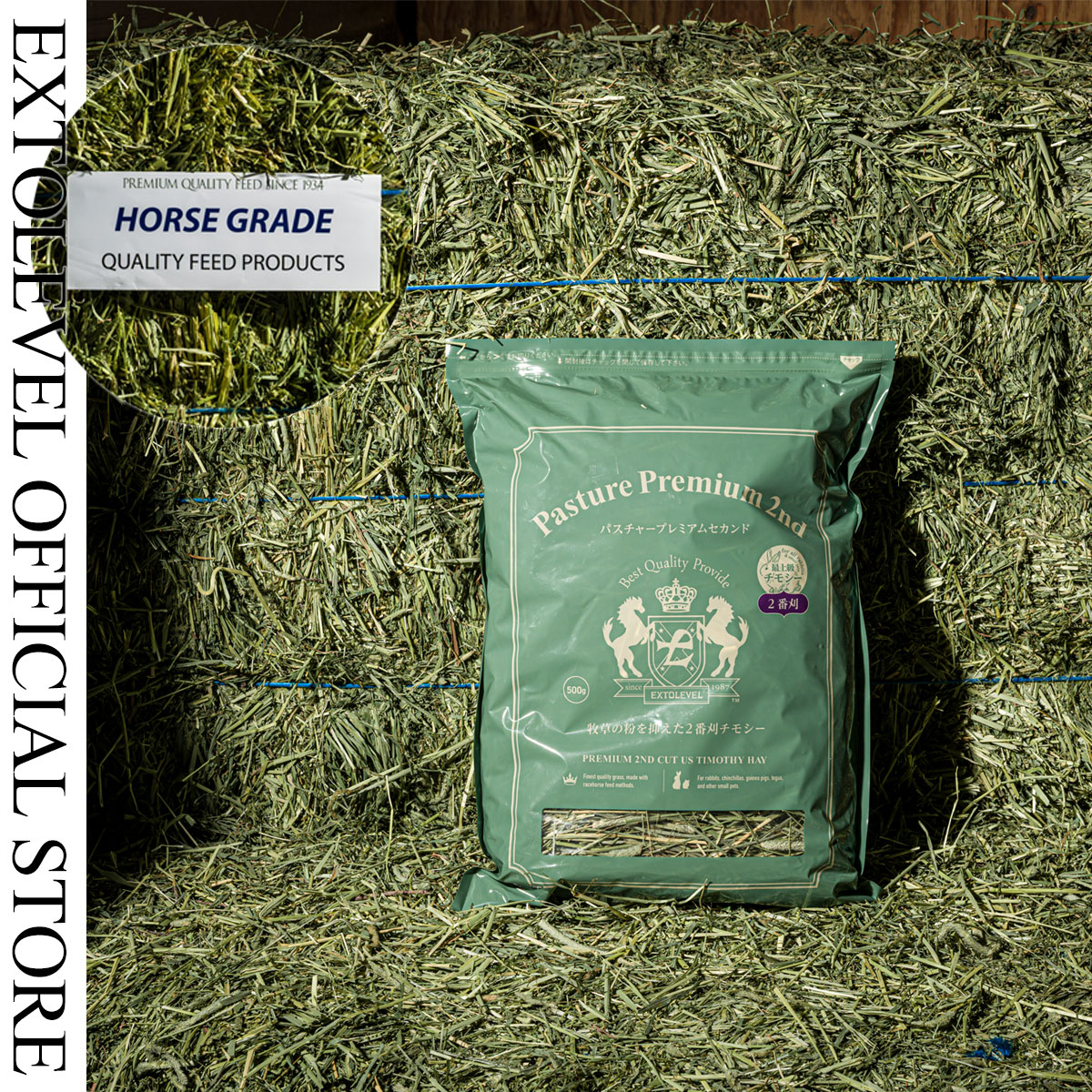 令和7年産] PASTURE PREMIUM 2ND 北米産最上級2番刈チモシー牧草 500g