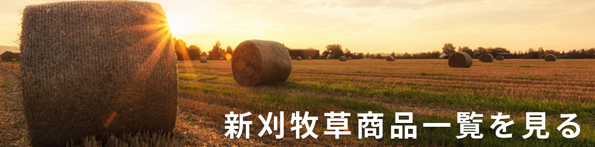 新刈牧草
